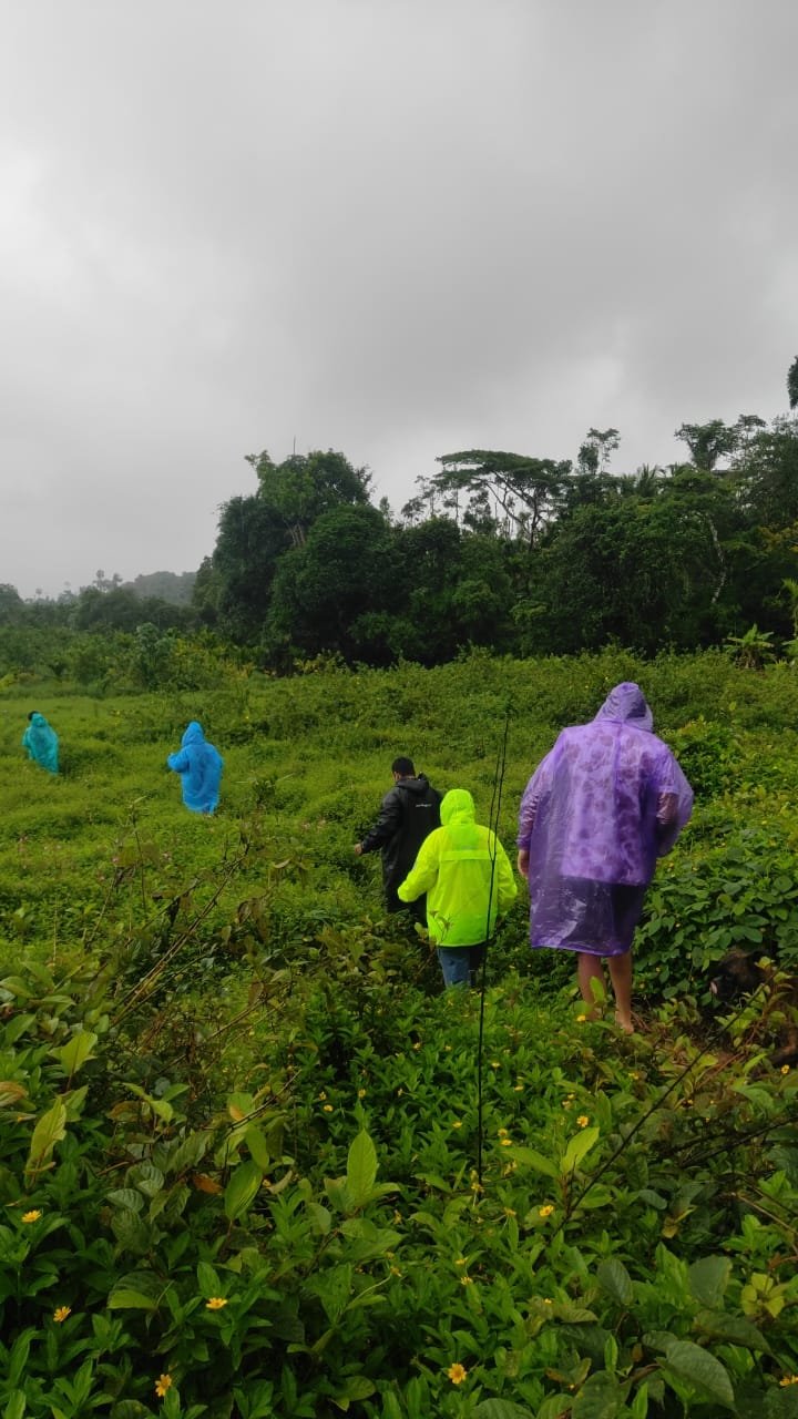 Rainforest Monsoon Trek
